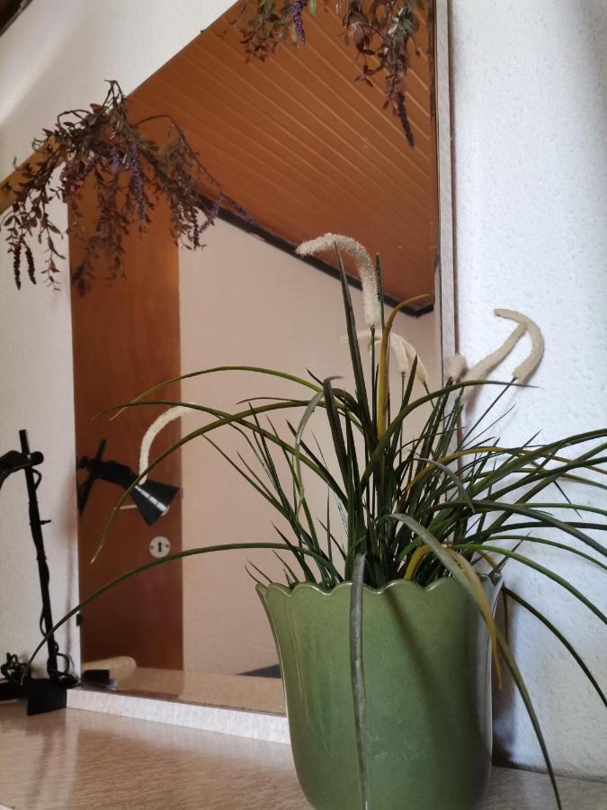 Green Vila Sozopoli Eksteriør billede